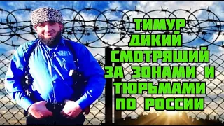 Тимур  Дикий  смотрящий  на зоне. ВИДЕО. Сможет ли Тимур  стать смотрящий  по всей РФ  за зонами?