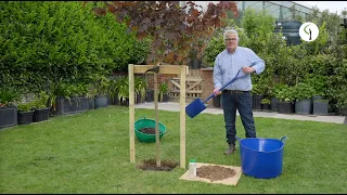 How to plant a tree grown in a container - a professional guide!