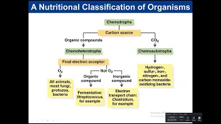 Chapter 6: Microbial Growth new