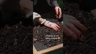 Slow gardening & happy worms with @1kru_gardening⁠ ⁠ ☕️☘️⁠ ⁠ ⁠ #subpod #slowliving #allotment #garde