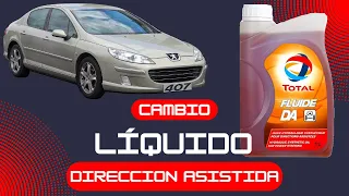 Cambio líquido dirección asistida Peugeot 407 Citroen Changement de liquide de direction assistée