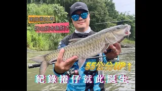 教你怎麼溪釣捲仔，基本功之一就是練習打標點~紀錄捲仔就此誕生！！【淡海一日釣遊(下)】#路亞 #南投 #國姓 #捲仔 #何氏棘魞 #jimmy