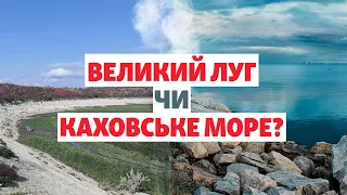 «Подарунок природи». Замість пустелі – двометрові верби та тополі на дні Каховського водосховища