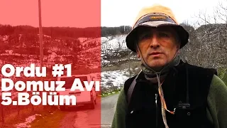 Ordu Domuz Avı 1 Ekip İşi 5.Bölüm Yaban Tv Wild Boar Hunting