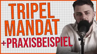 Das Tripelmandat der sozialen Arbeit (Mit Praxisbeispiel)