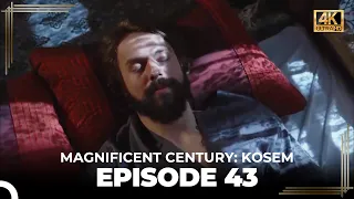Magnificent Century: Kosem Episode 43 (English Subtitle) (4K)
