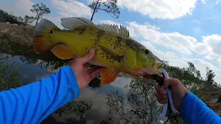 Cape coral FL freshwater canal fishing February/March 2023 *NICE FISH CAUGHT*