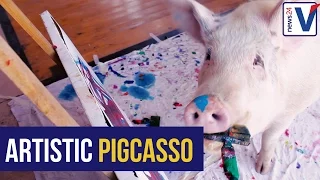 WATCH: Meet 'Pigcasso' SA's painting hog