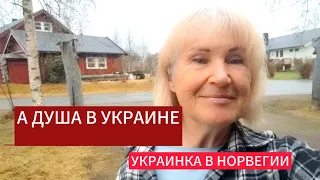 ЕХАТЬ ИЛИ НЕТ?!ВАШ ВЫБОР!!ОПЯТЬ БЕССОННИЦА.  ВЫСТРЕЛЫ В ГОРАХ..УРА!ВЕЛОСИПЕД