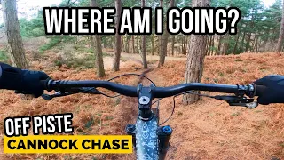 Exploring More Amazing Off Piste Trails at Cannock Chase