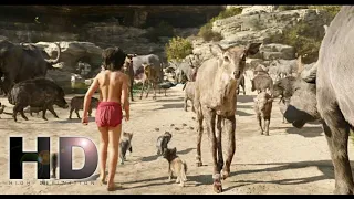 The Jungle Book (2016)- All Animals Come to drink water | Peace Rock | Hollywood MovieClips In Hindi