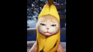 Banana Cat is HappyHappyHappy