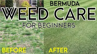 Getting Rid of Weeds in your Bermuda Grass for Beginners