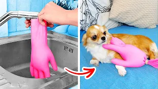 Genius Hacks And Gadgets For Dog Owners