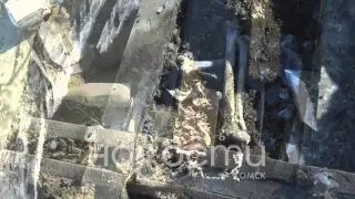 Человеческие кости обнаружены на крыше жилого дома
