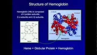 Dyshemoglobinemia: Methemoglobin and Carbon Monoxide Poisoning (ABG Interpretation - Lesson 19)