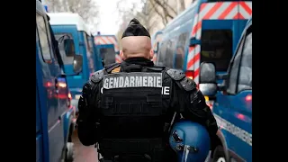 Работа в National Gendarmerie (жандармерия)  или Police nationale (полиция)