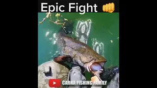 Epic Fishing Fight 🎣 #fishing #bigfish #silure #shorts