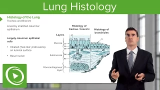 Lung Histology – Respiratory Medicine | Medical Education Videos