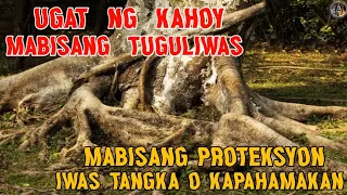 UGAT NG KAHOY MABISANG TAGULIWAS | KAPANGYARIHAN SA PANINIWALA