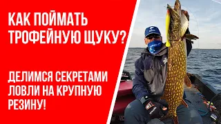 Как поймать большую щуку: советы по ловле на крупную резину!