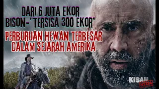 Perburuan Hewan Mamalia terbesar di Amerika dari 6 Juta Ekor Bison hanya disisain 300 Ekor