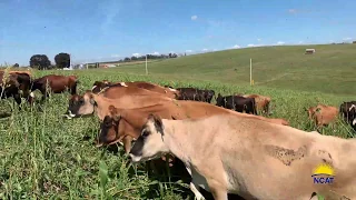 Regenerative Grazing from the Ground Up