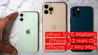 iPhone 12 mini or iPhone 12 Pro Max???