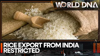 India Bans Non-Basmati Rice Exports | Trade News | Latest News | WION DNA