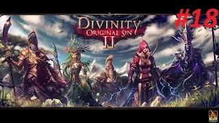 Прохождение. Divinity: Original Sin 2. Бродим по кладбищу. #18