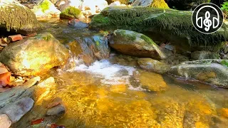 Gentle Sound Of A Mountain River. Nature Sounds for Sleep and Relaxation  3 Hours of 4K Video 60 FPS