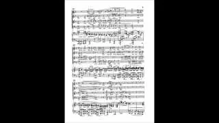 Brahms: Deutsches Requiem 1st movement (Tenor)