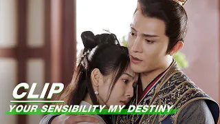 Clip: You Have Got Me | Your Sensibility My Destiny EP11 | 公子倾城 | iQiyi