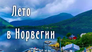 Первое лето в Норвегии. Жизнь на хуторе