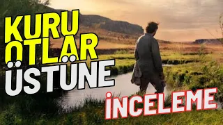 KURU OTLAR ÜSTÜNE İNCELEME