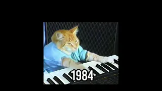 Piano Cat (then vs now)