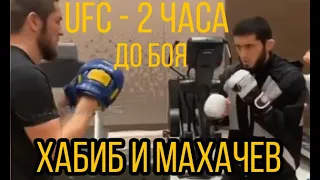 Несколько часов до боя Ислам Махачев с Хабибом  / KHABIB NURMAGOMEDOV VS ISLAM MAKHACHEV WORKOUT