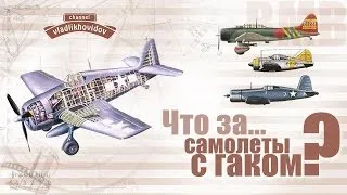 Что за "самолеты с гаком"?