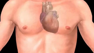 How Arrhythmia Occurs Animation - Heart Arrhythmias Video - Cardiac Electrical Conduction System