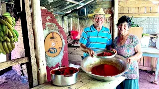 Mãe e filho trabalhando junto no sítio momentos de alegria e muito amor pelo que faz …