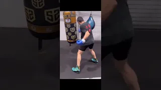 Nick Diaz Workout 2024!