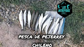 pesca de pejerrey chileno|2021|los intrepidos caza y pesca