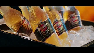 Miller Genuine Draft | 4X Filtered for Exceptional Smoothness