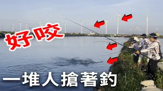 海口那個丟下去就咬到翻掉的點 有人2小時狂釣近百條 "有夠扯" 水下拉力怪獸【漁樂爽報】Fishing Fun NEWS EP145 #钓鱼 #釣り#磯釣