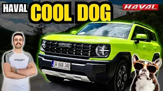 THE CHEAPEST SUV WITH 550 THOUSAND TL NEW HAVAL COOL DOG 2024 - 1.5 TGDI