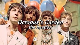 Octopus's garden- The Beatles sub español