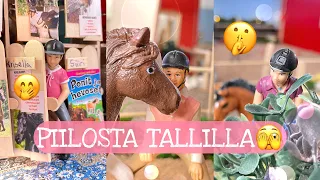 PIILOSTA TALLILLA🤪🫢