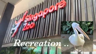 Singapore Zoo Recreation (March 2024)