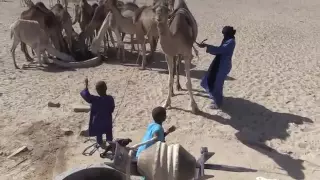 The tuareg life
