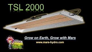 Mars Hydro TSL 2000 LED grow light case study